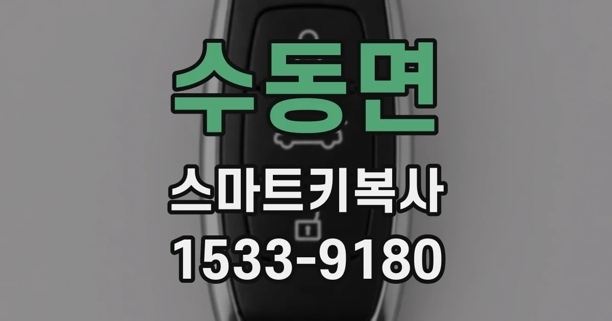 수동면 스마트키복사