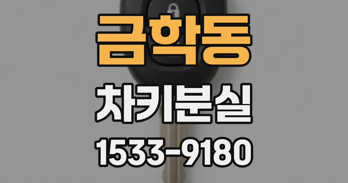 금학동 차키분실