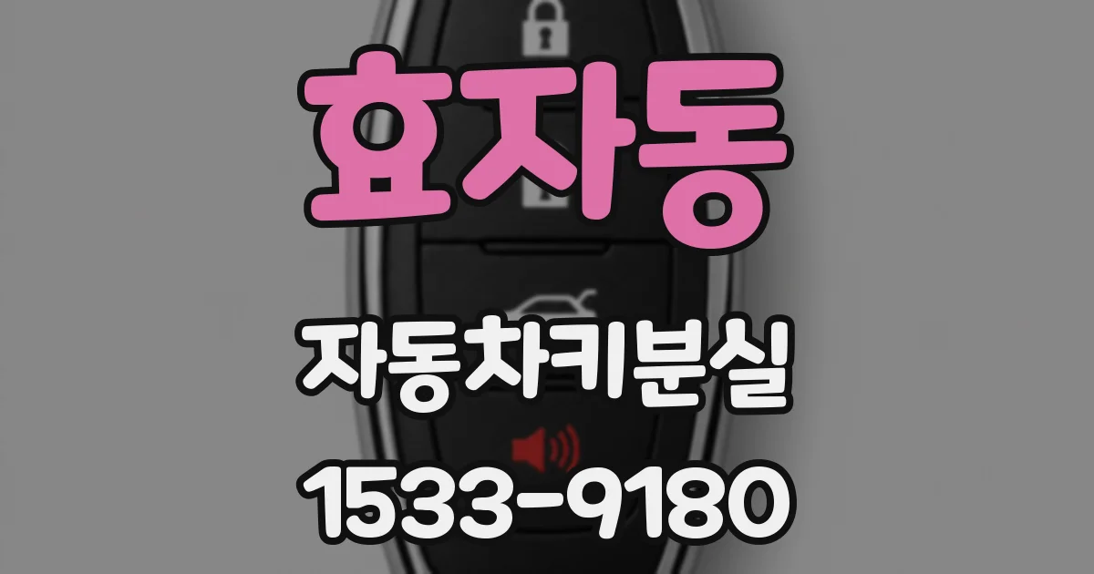 효자동 자동차키분실