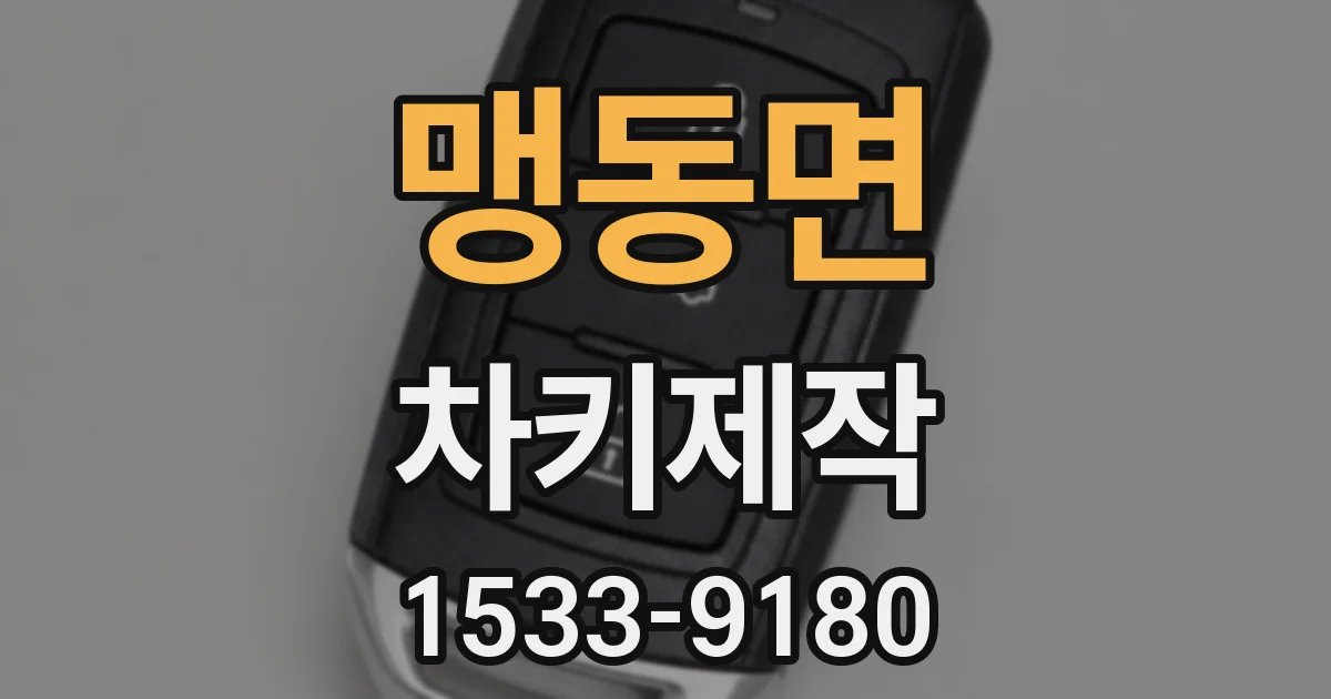 맹동면 차키제작