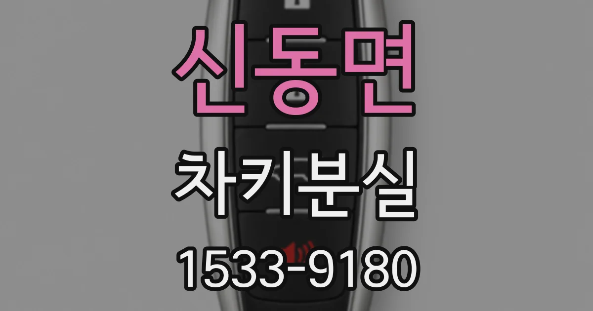 신동면 차키분실