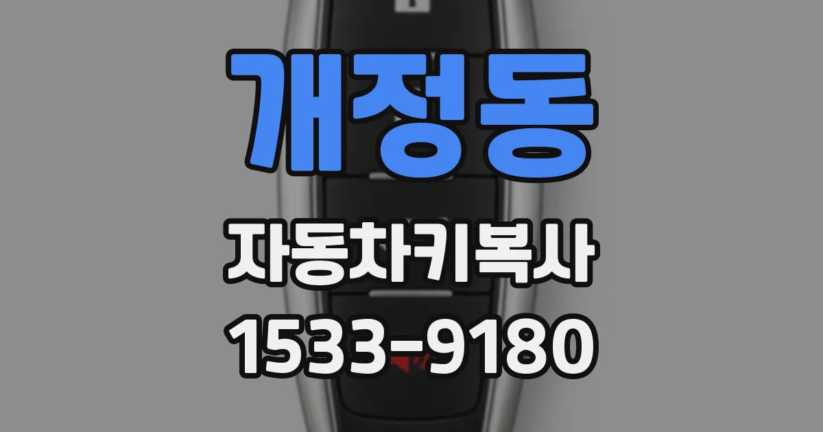 개정동 자동차키복사