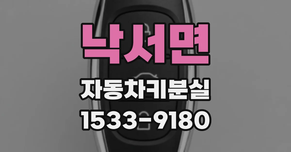 낙서면 자동차키분실