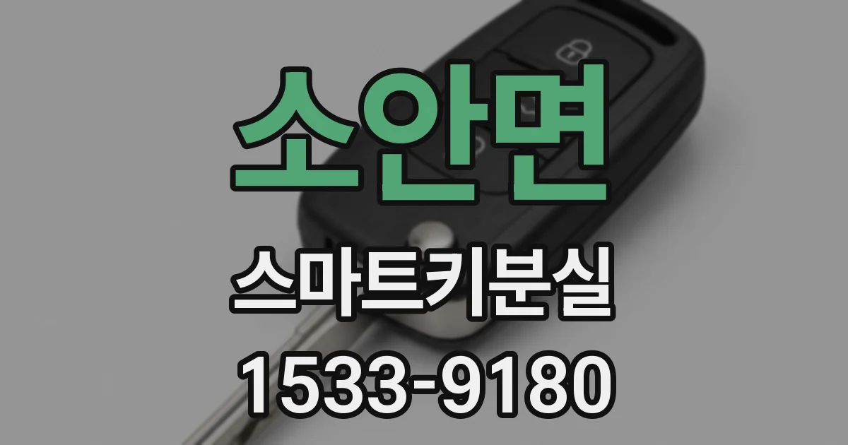 소안면 스마트키분실
