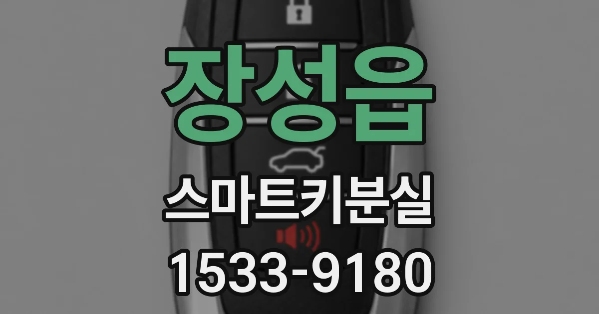 장성읍 스마트키분실