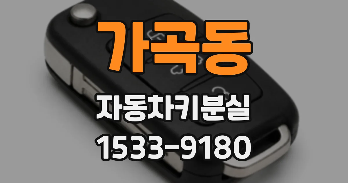 가곡동 자동차키분실
