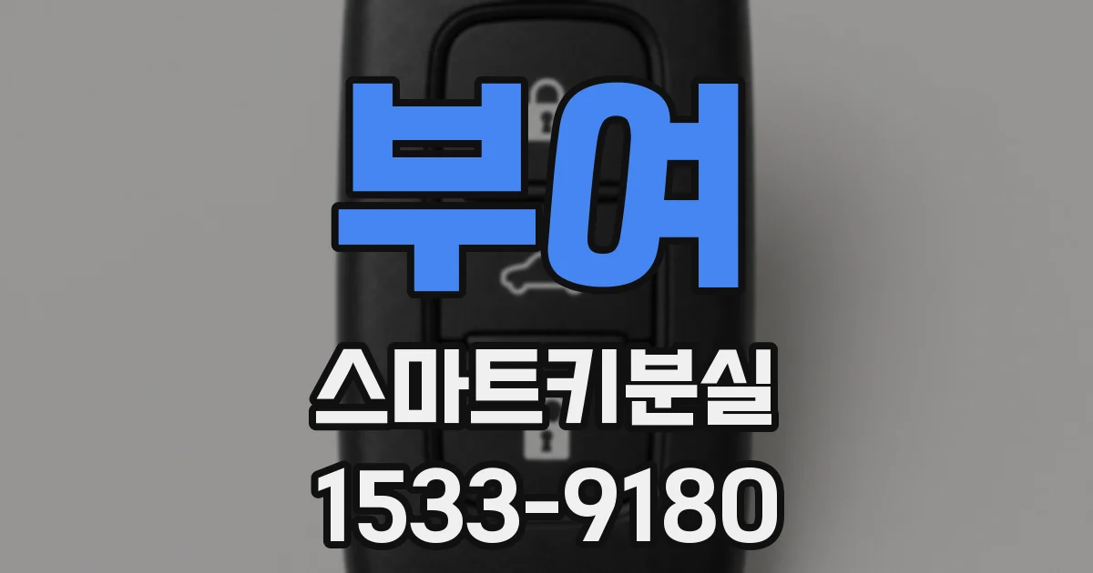 부여 스마트키분실