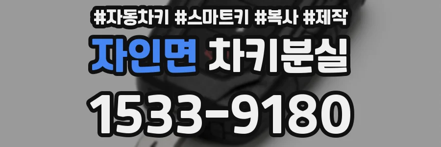 자인면 차키분실
