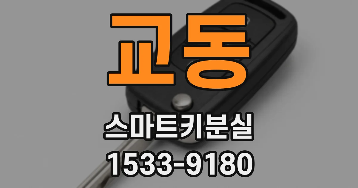 교동 스마트키분실