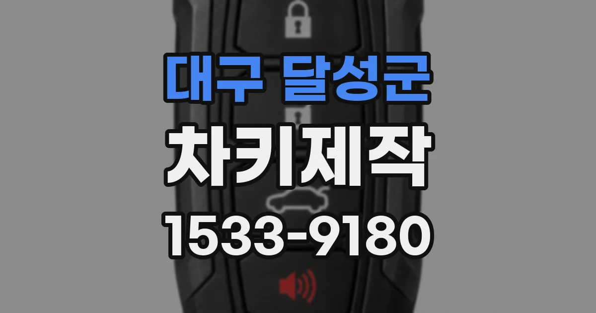 대구 달성군 차키제작