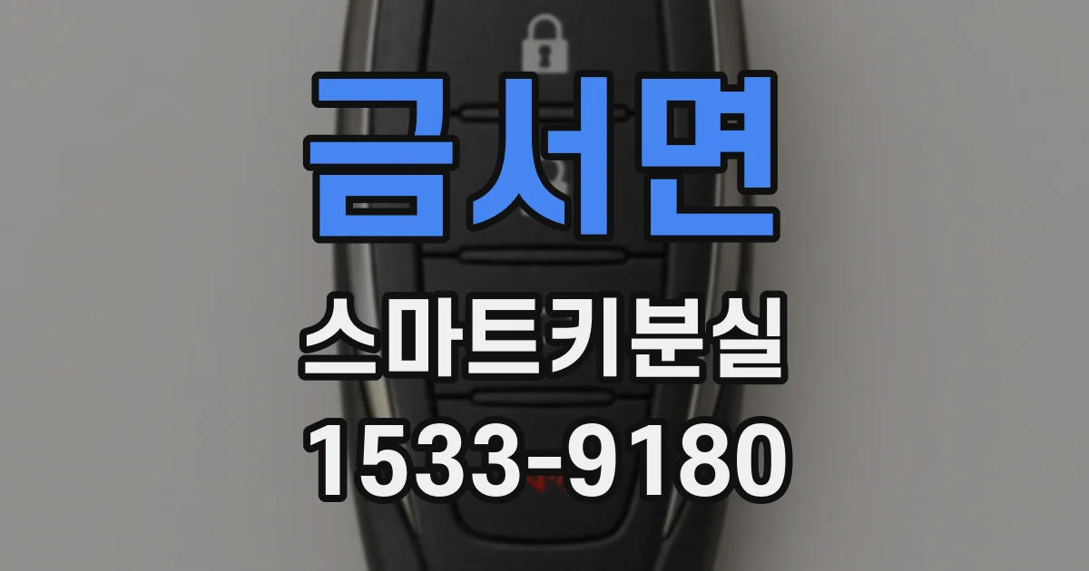 금서면 스마트키분실