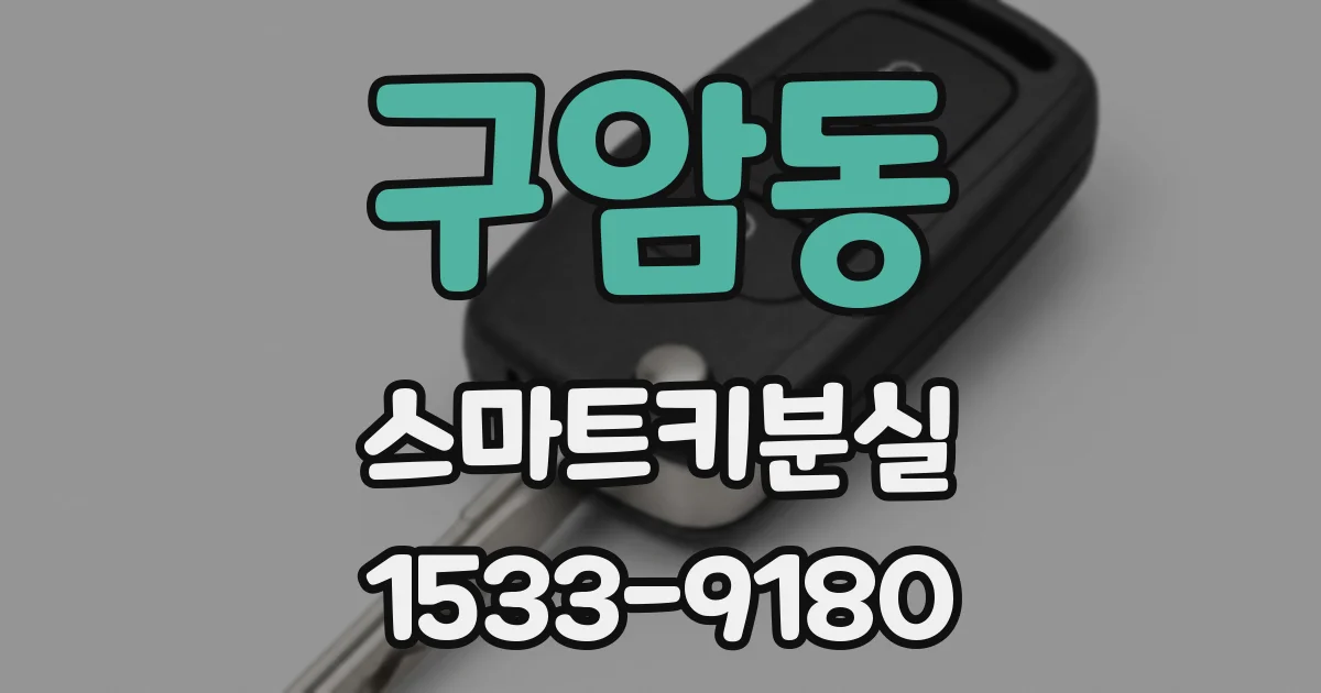 구암동 스마트키분실