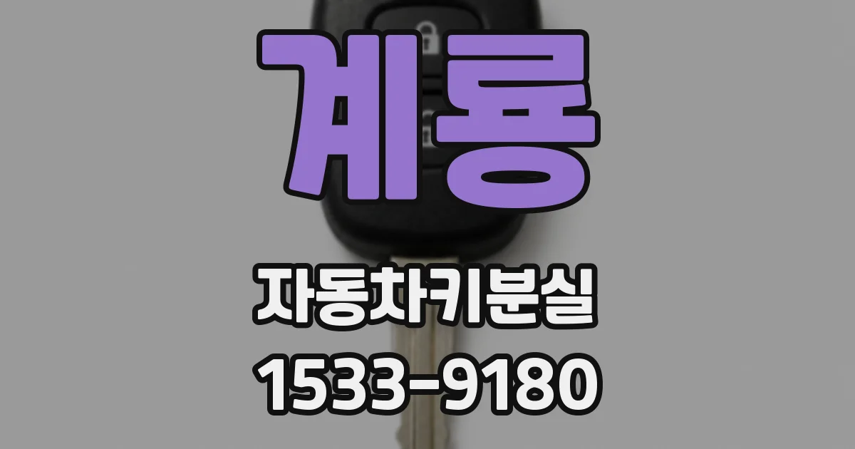 계룡 자동차키분실