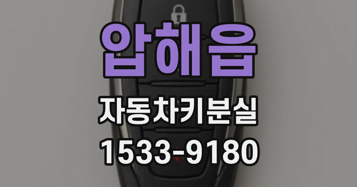 압해읍 자동차키분실