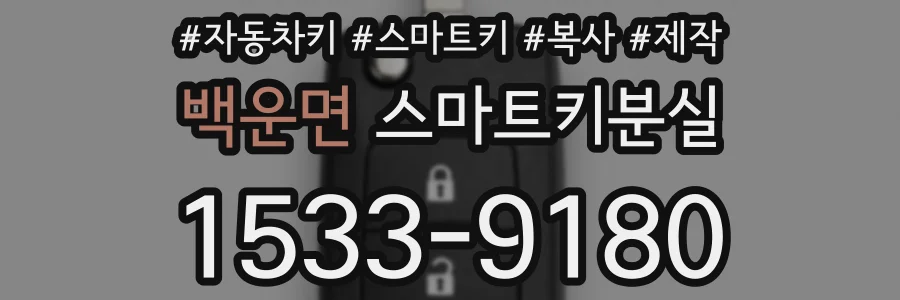 백운면 스마트키분실