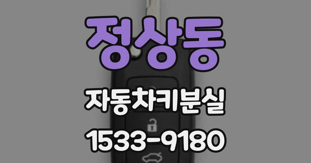 정상동 자동차키분실