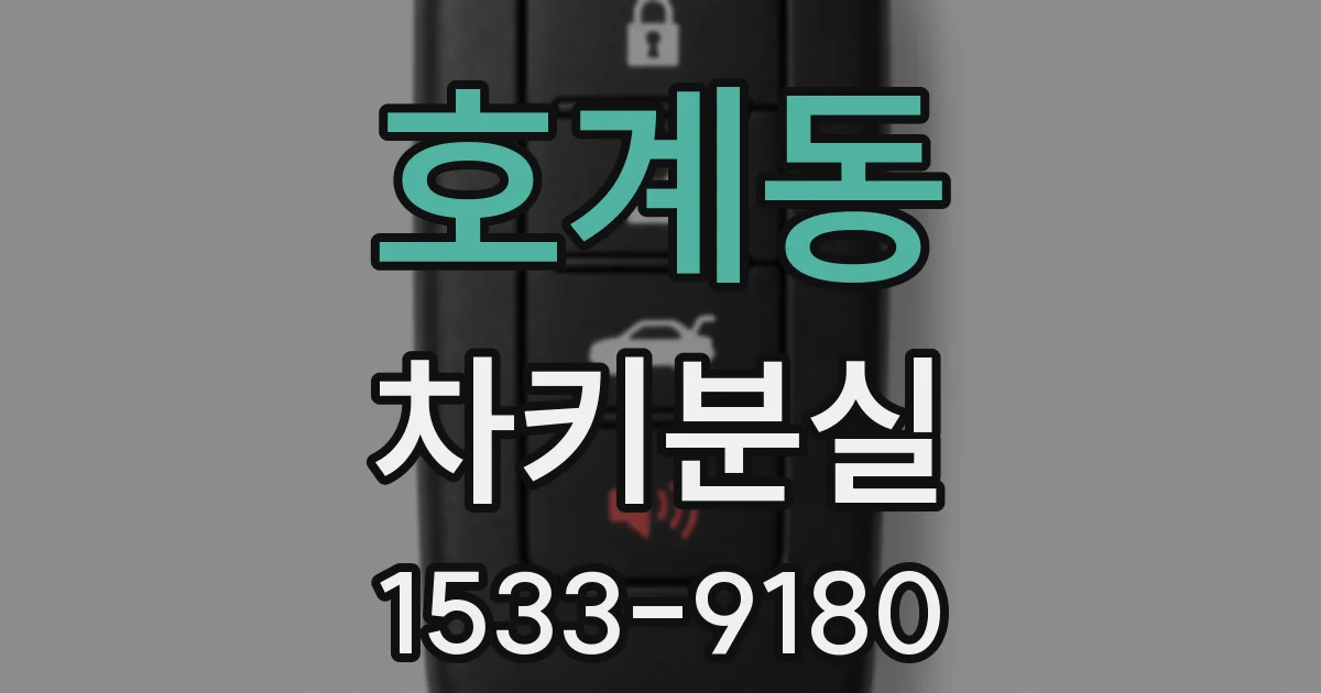 호계동 차키분실