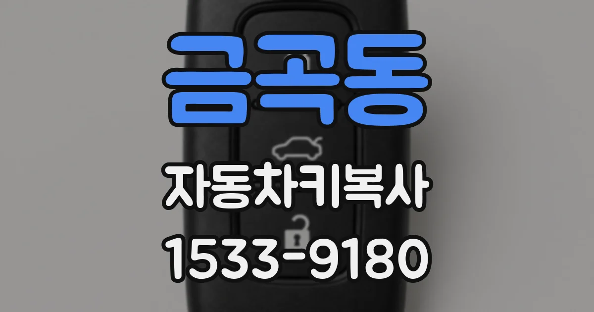 금곡동 자동차키복사