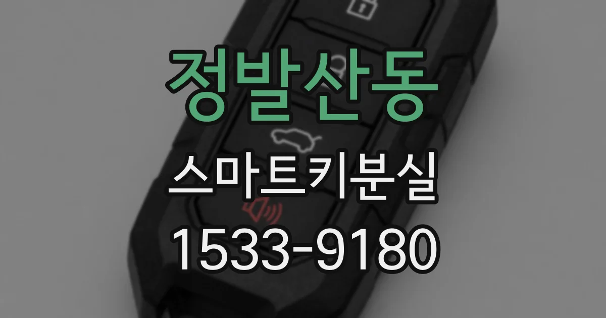 정발산동 스마트키분실