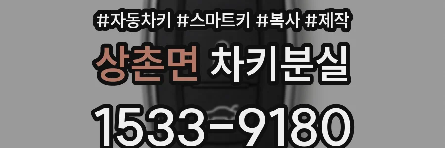 상촌면 차키분실