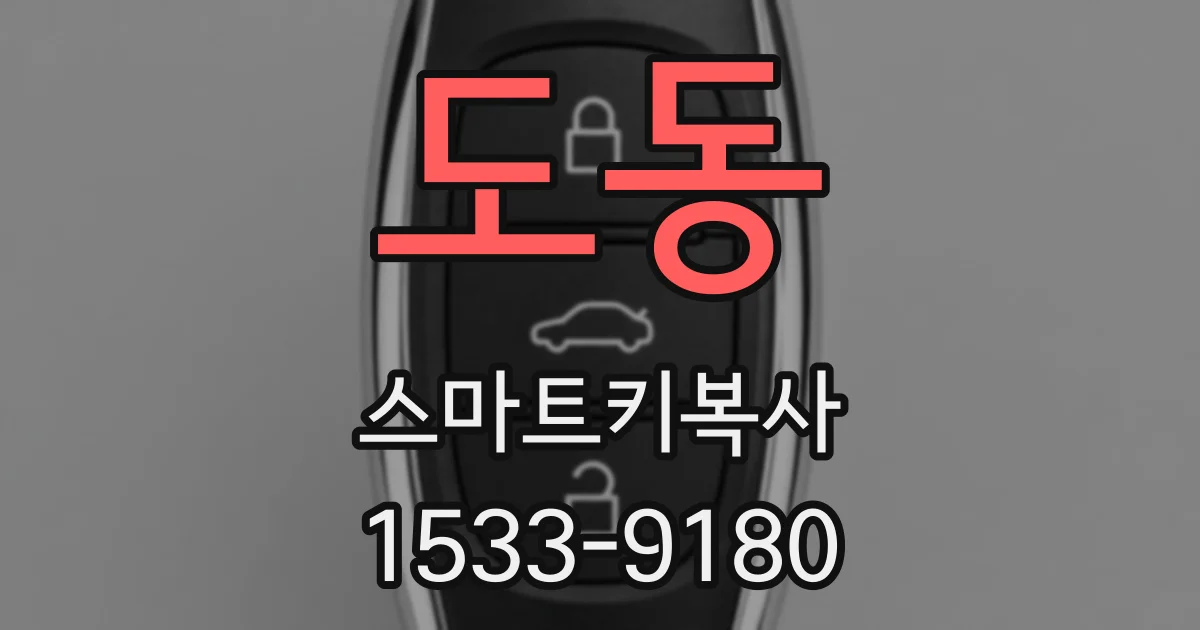 도동 스마트키복사