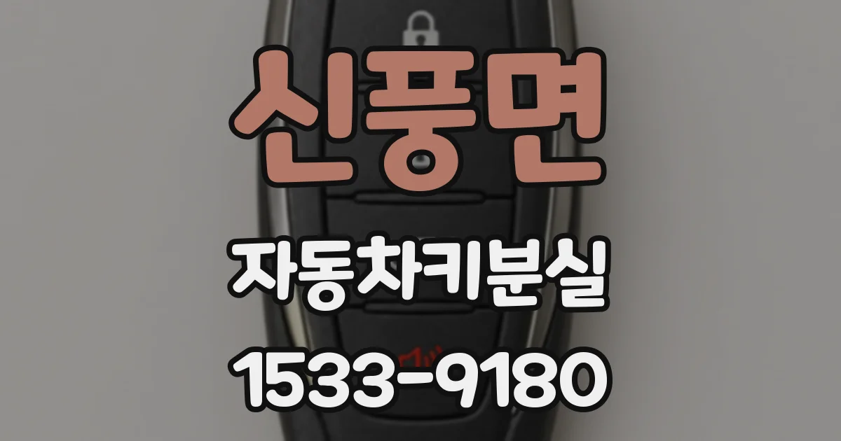 신풍면 자동차키분실