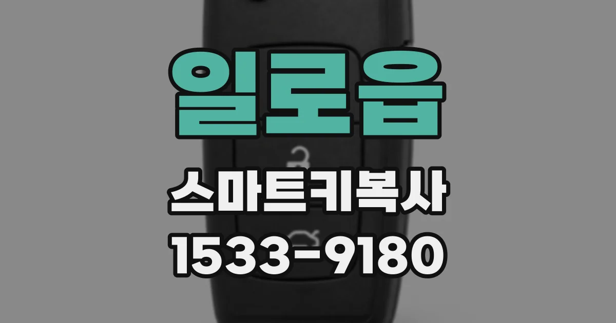 일로읍 스마트키복사