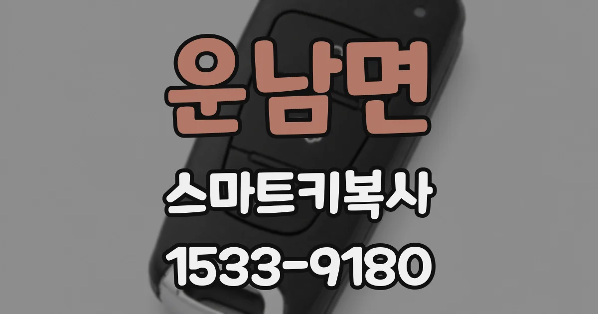 운남면 스마트키복사