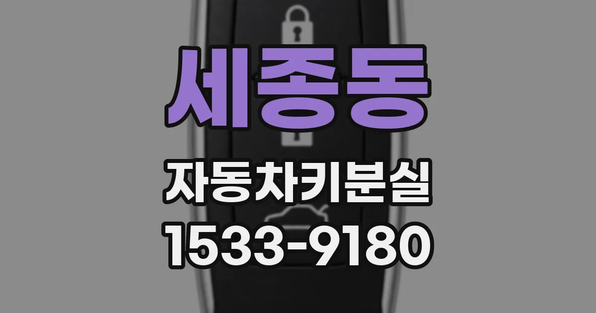 세종동 자동차키분실