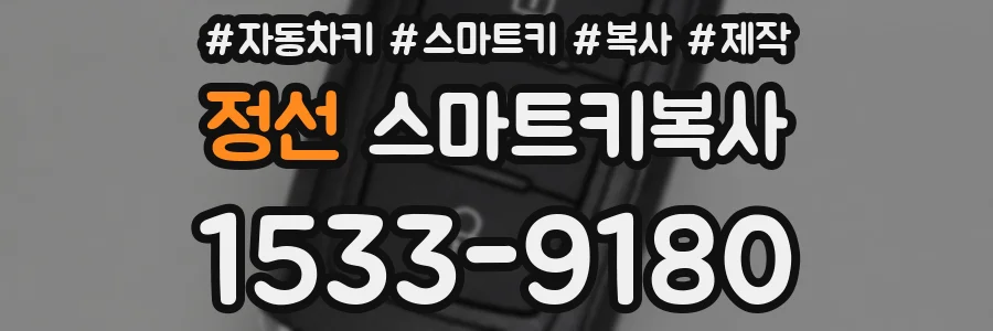 정선 스마트키복사