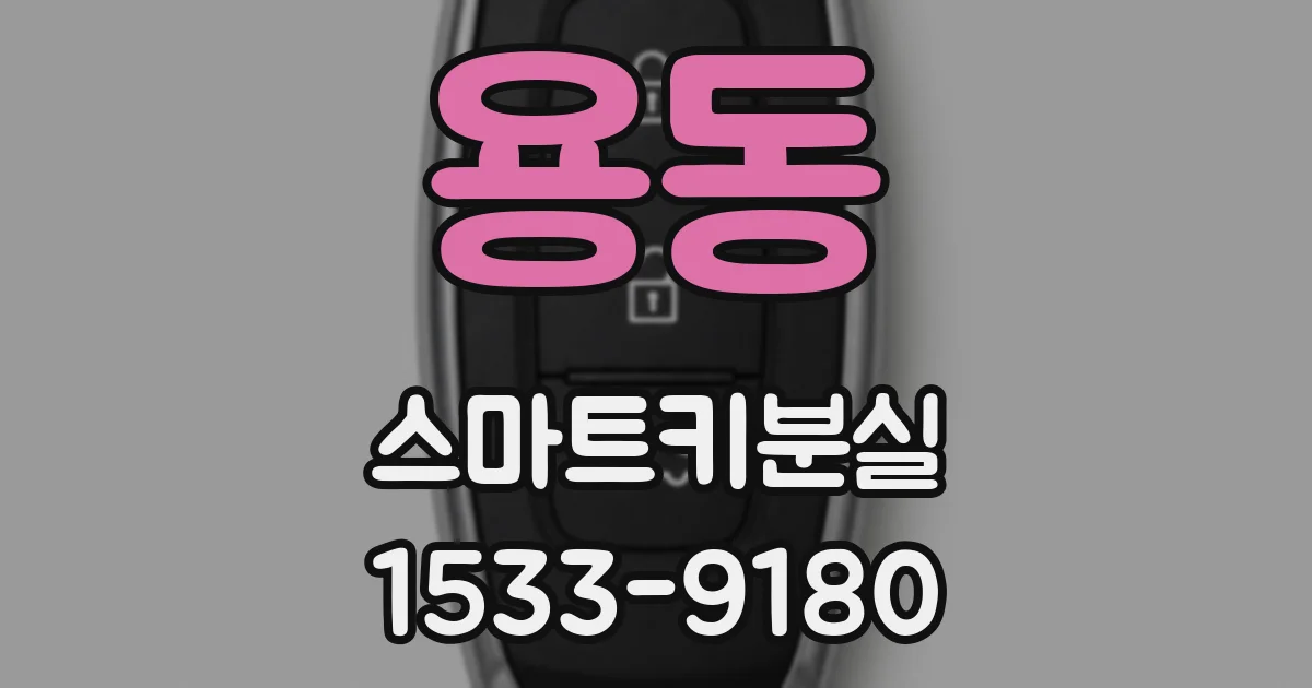 용동 스마트키분실