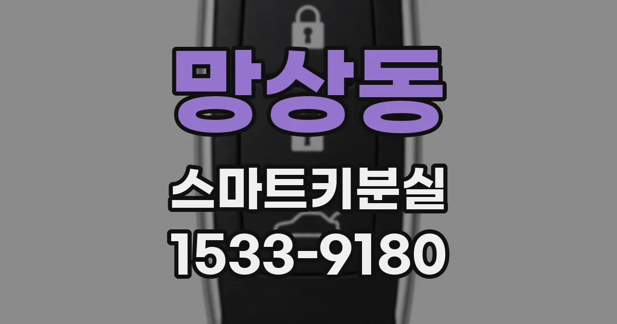 망상동 스마트키분실