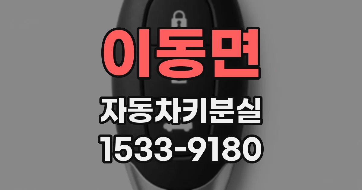 이동면 자동차키분실