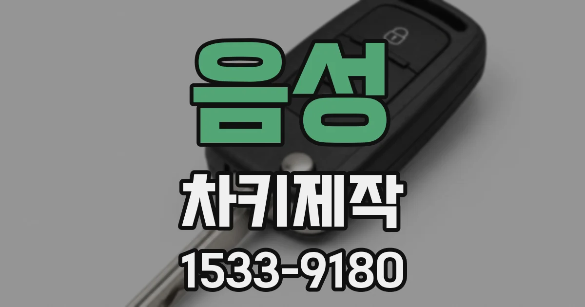음성 차키제작