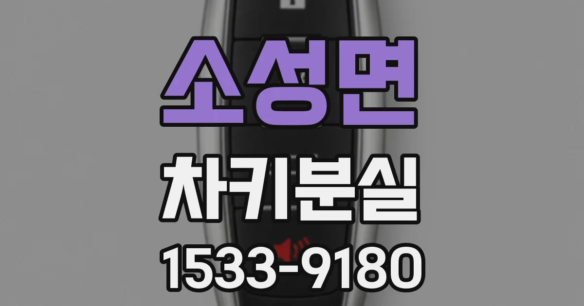 소성면 차키분실