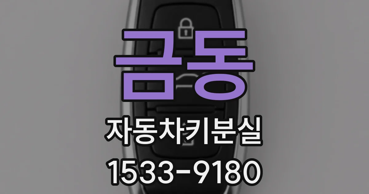 금동 자동차키분실