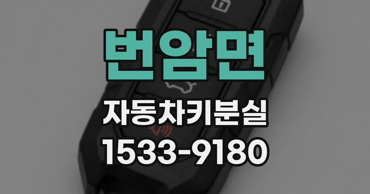 번암면 자동차키분실