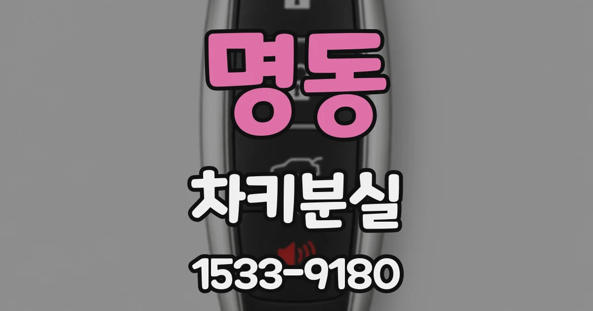명동 차키분실