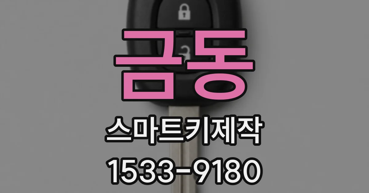 금동 스마트키제작