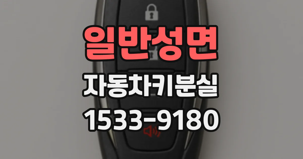 일반성면 자동차키분실