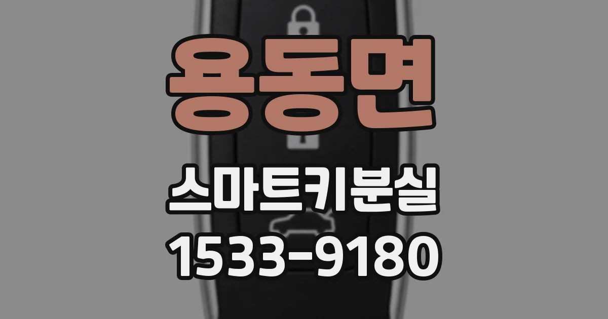 용동면 스마트키분실