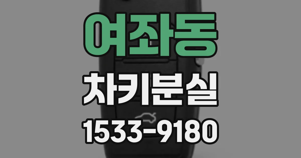 여좌동 차키분실