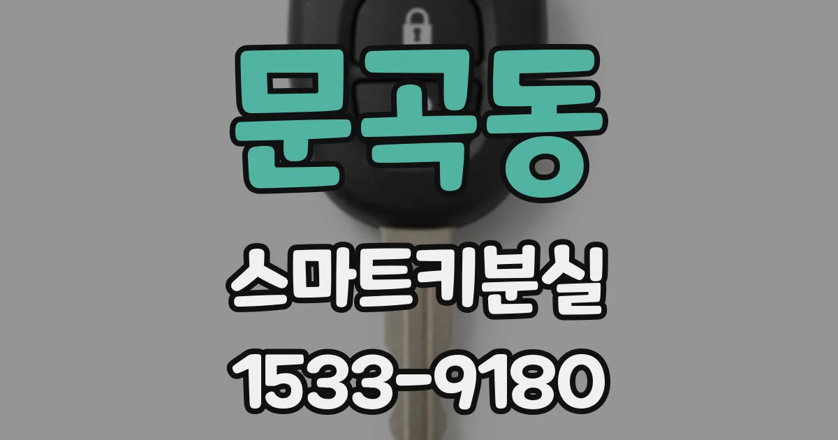 문곡동 스마트키분실