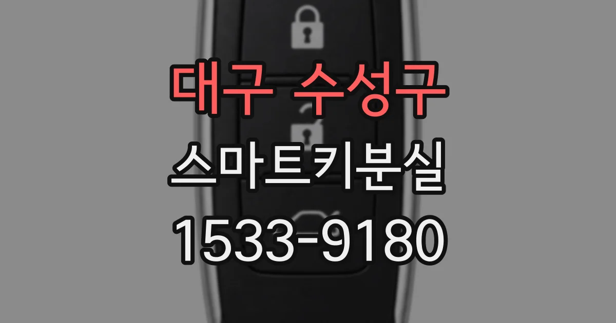 대구 수성구 스마트키분실