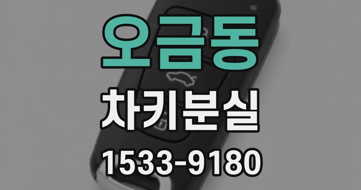 오금동 차키분실