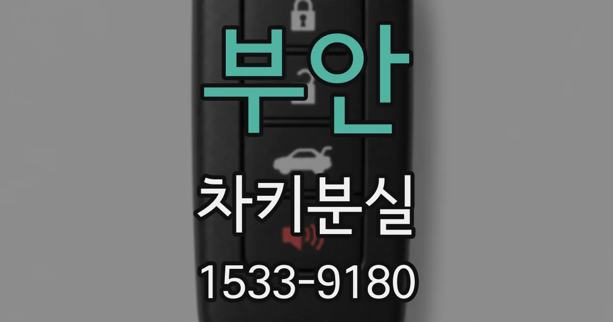 부안 차키분실