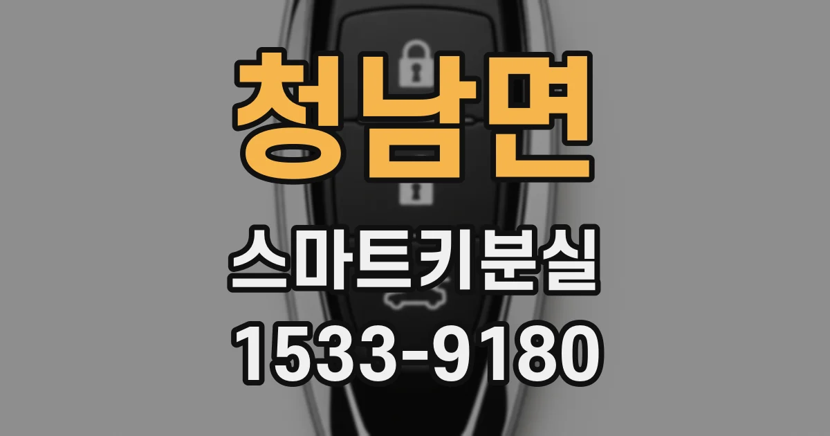 청남면 스마트키분실