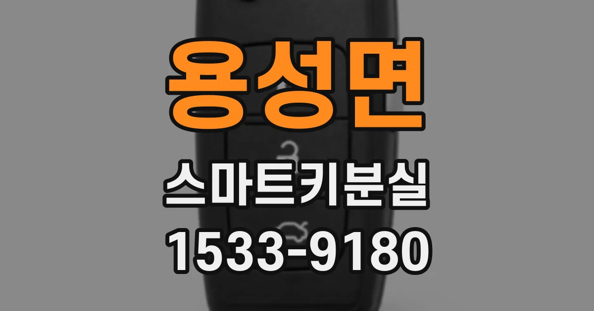 용성면 스마트키분실