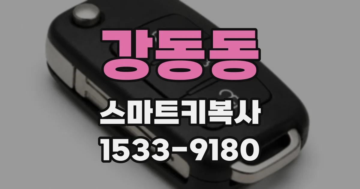 강동동 스마트키복사