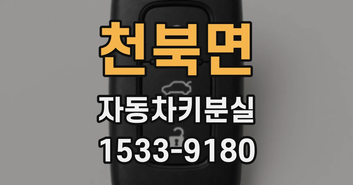 천북면 자동차키분실